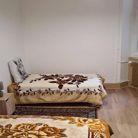 Grand 4P Strasbourg Orangerie 7 Personnes Proche D Allemagne 外观 照片
