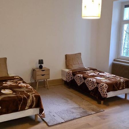Grand 4P Strasbourg Orangerie 7 Personnes Proche D Allemagne 外观 照片