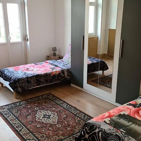 Grand 4P Strasbourg Orangerie 7 Personnes Proche D Allemagne 外观 照片