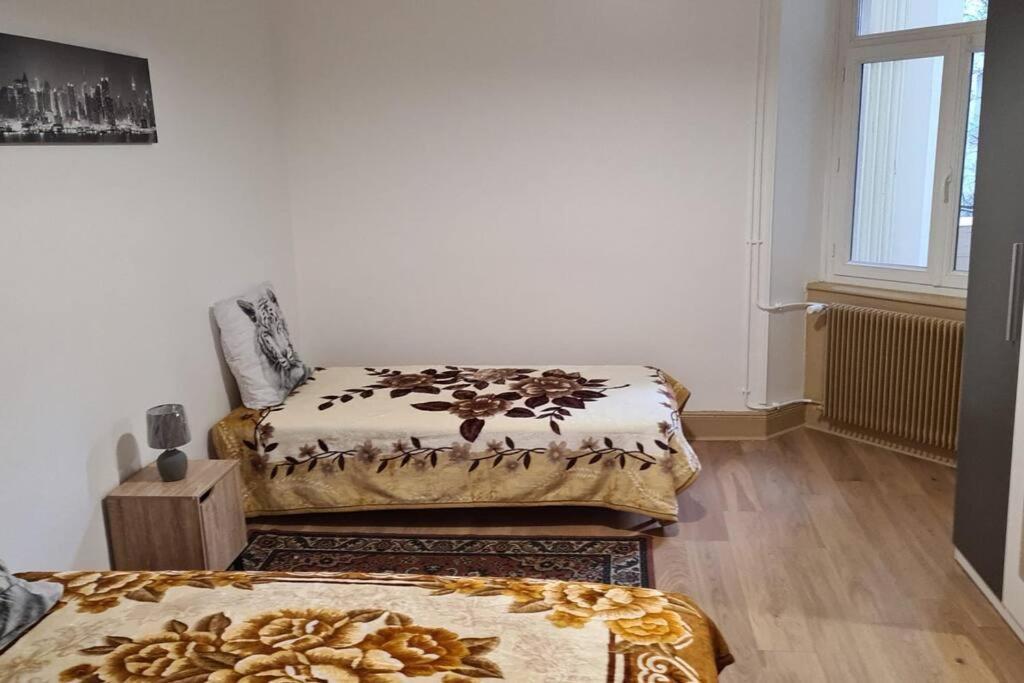 Grand 4P Strasbourg Orangerie 7 Personnes Proche D Allemagne 外观 照片