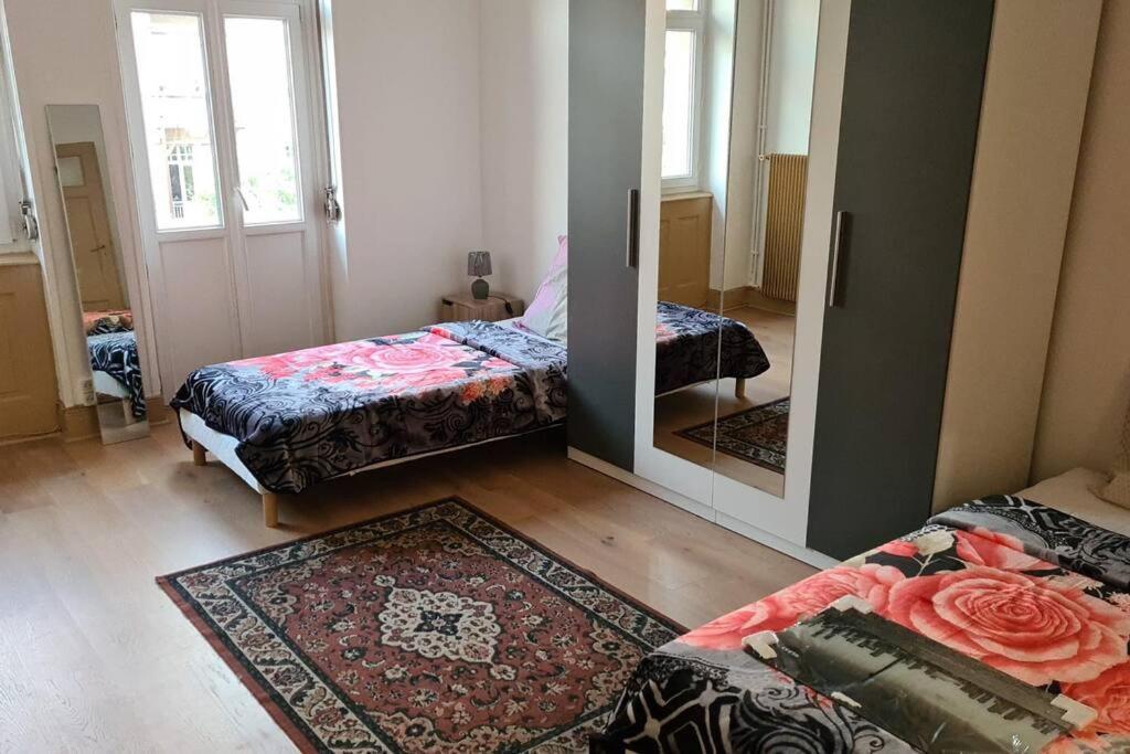 Grand 4P Strasbourg Orangerie 7 Personnes Proche D Allemagne 外观 照片