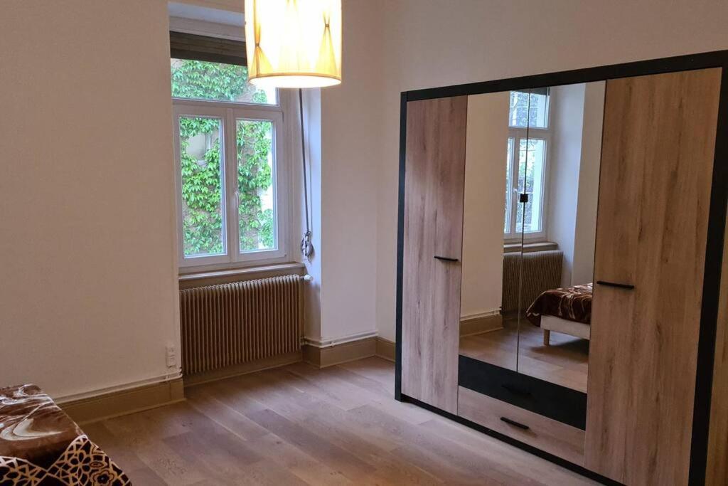 Grand 4P Strasbourg Orangerie 7 Personnes Proche D Allemagne 外观 照片